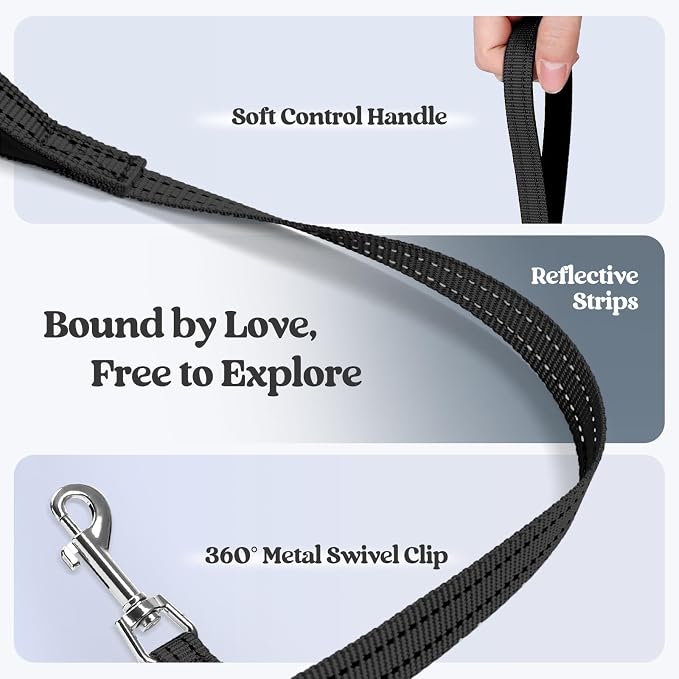 rabbitgoo Dog Harness Small Sized and Leash Set, Step-in Puppy Pet Vest | Light, Soft, Breathable Air Mesh, Easy on and Remove with Hook & Loop, Secure Reflective for Walking, Black XXS