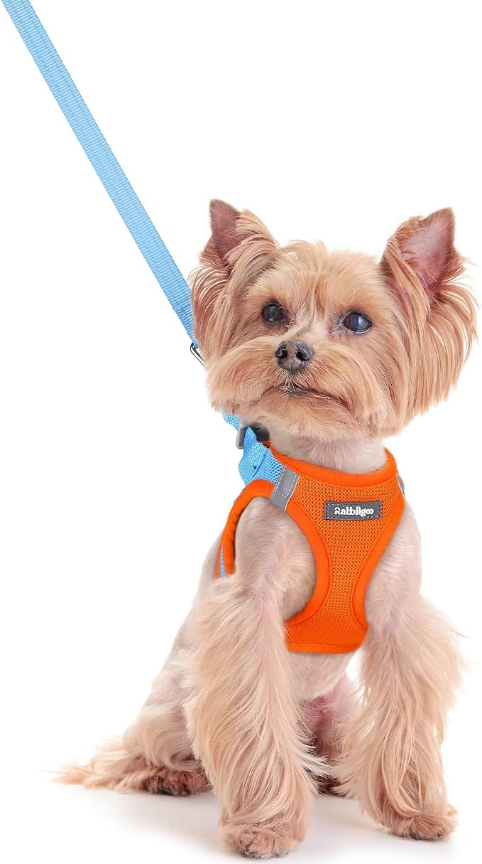 rabbitgoo Dog Harness Small Sized and Leash Set, Step-in Puppy Pet Vest | Light, Soft, Breathable Air Mesh, Easy on and Remove with Hook & Loop, Secure Reflective for Walking, Blue & Orange XXS