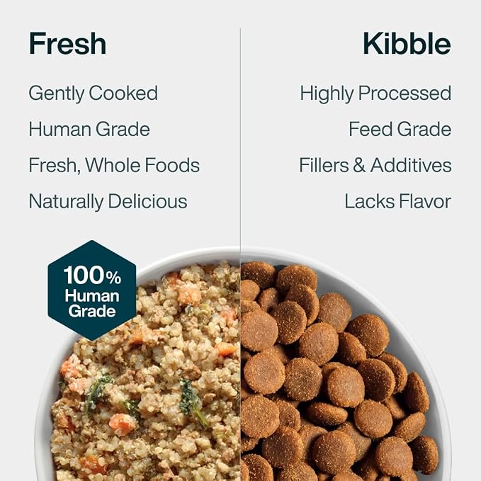 JustFoodForDogs Pantry Fresh Wet Dog Food, Complete Meal or Dog Food Topper, for Joint Health, Skin Health, Allergies, Joint & Skin Support, Pork & Quinoa - 12.5 oz (Pack of 12) | Fresh Pet Meal or Dog Food Topper for Dog Joint & Skin Health or Allergi...