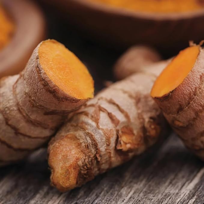 Aromatics International Turmeric Hydrosol 100ml | Warm Earthy Spicy Natural Aromatic Mist for Home, Body & Daily Use