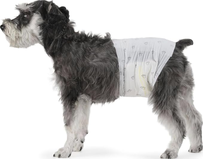 Amazon Basics Male Dog Diapers, Ultra Absorbent Disposable Wrap with Leak Proof Protection, Wetness Indicator, Secure Fit, Breathable, Medium, 30 Count