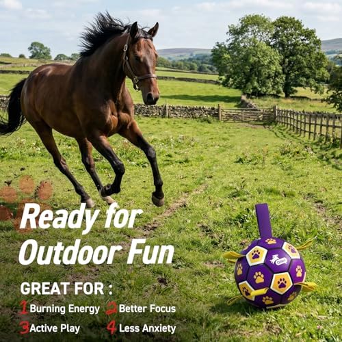 QDAN Extra Large Dog Toy Soccer Ball, Durable Dog Balls with Straps, 9 Inch | Herding Ball for Dogs Large, Interactive Dog Toys for Tug of War, Outside Water Toy, Training Soccer Balls >90 lbs Dogs