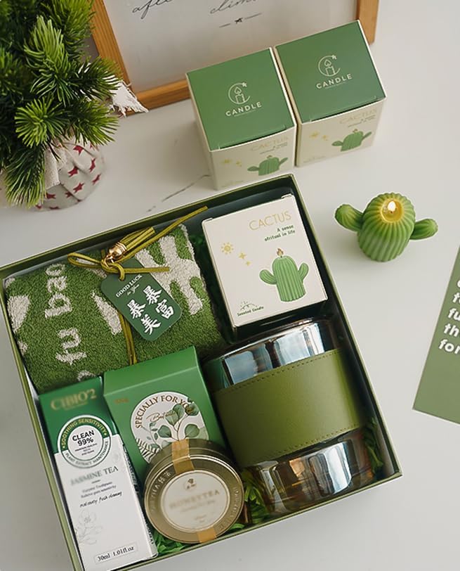 4 Scented Cactus Candle Gift Set, Moss Green Sage Green Pink White, Arizona Boho Spring Summer Gifts for Women, Friends & Classmates
