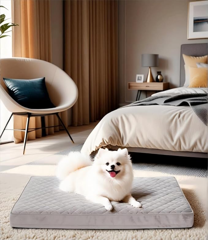 NUPIDA Orthopedic Small Dog Bed for Crate with Washable Cover, 23x17, Grey | Cat Puppy Kennel Pad, Egg-Crate Foam, Cozy Velvet Pet Mattress, TPU Waterproof Layer, Comfy Support, Non-Slip Bottom