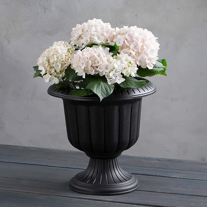 Root & Vessel, Classic Urn Planter, Black, 14-Inch