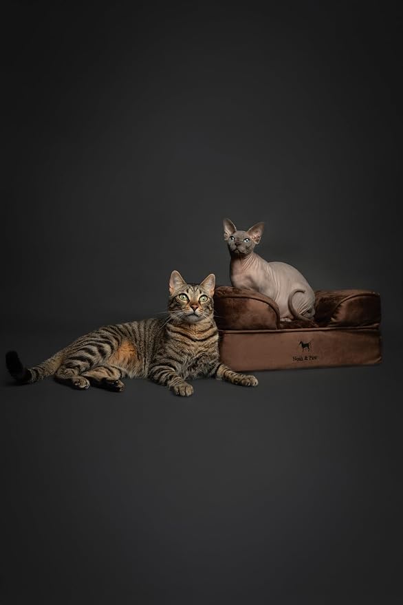 NOAH & PAW Small Dog Bed, 20x15x8 Inch, Cat Bed for Indoor Cats, Orthopedic Eggshell Memory Foam Infused with Cooling Gel, Water Resistant Inner Cover Machine Washable (Velvet Collection)