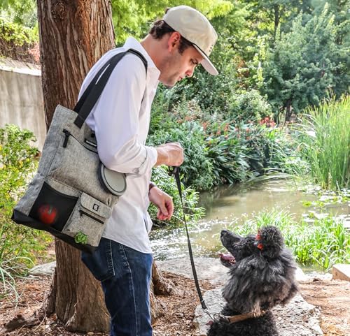 Cleverpup Park Pack 2-Piece Dog Gear Travel Tote - 8 Pockets, Heather Grey