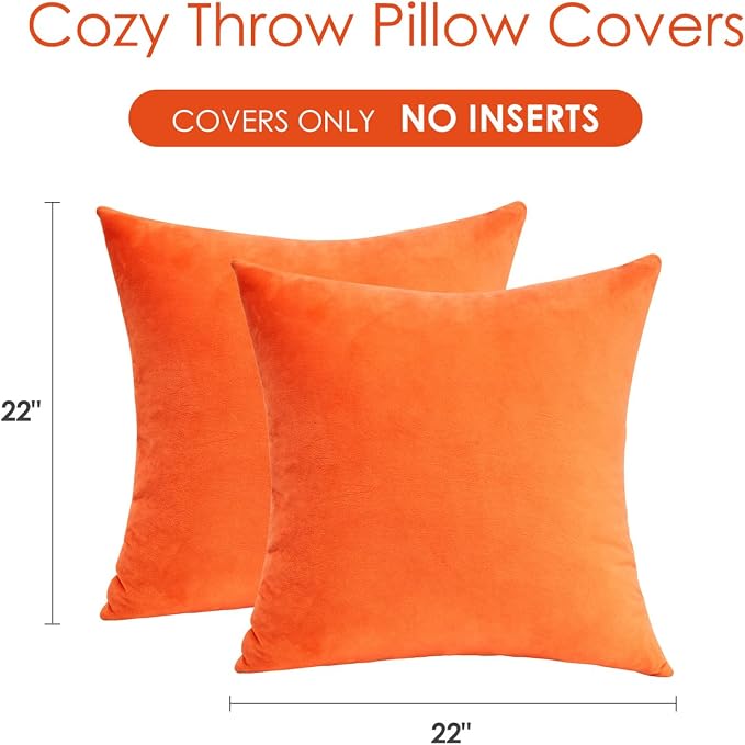 Fall Orange Throw Pillow Covers Decorative Velvet Set of 2 22x22 Inch Pillow Covers, Burnt Orange Large Pillowcases for Couch Sofa Bed Living Room, Farmhouse Boho Decor, Accent Cushion Covers