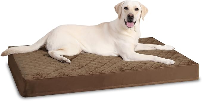 NUPIDA Orthopedic Large Dog Bed for Crate with Washable Cover, 35x22, Brown | Egg-Crate Foam, Cozy Velvet Pet Mattress, TPU Waterproof Layer, Flat Kennel Pad, Comfy Support, Non-Slip Bottom