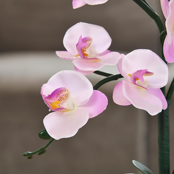 15" Silk Phalaenopsis Orchid in Square Pot, Pink Shades Flower Arrangements | Lifelike Faux Potted Blooms with Moss in a Ceramic Planter. Looks Real, Zero Upkeep, Ideal Centerpiece for Any Table