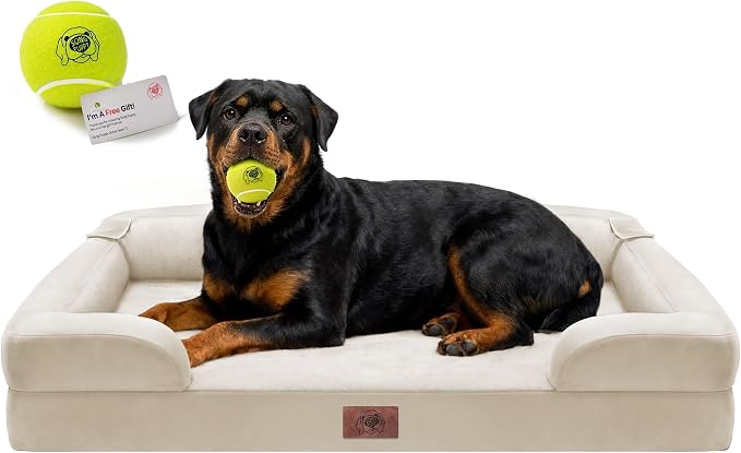 Waterproof Orthopedic Dog Bed for Extra Large Sized Dogs | Memory Foam Pet Bed Sofa with Bolster, Dog Couch with Washable Cover & Non-Slip Bottom, 45x35 Inch, Beige