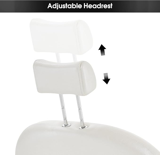 BarberPub Luxurious Classic Barber Chair Hydraulic Pump Recline Beauty Spa Styling Salon for Hair Stylist Equipment 9578 (Champagne)