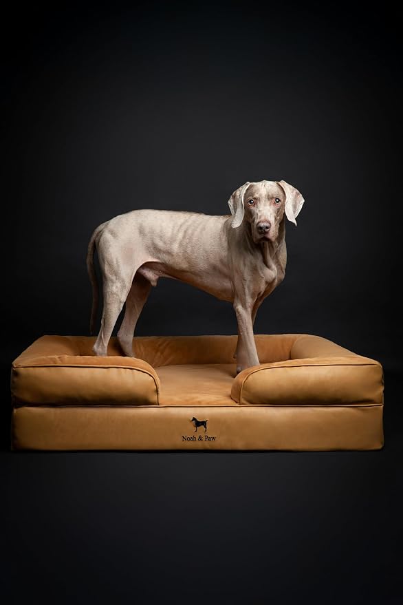 NOAH & PAW XL Dog Bed, 45x35x11 Inch, Orthopedic Large Dog Beds, Eggshell Memory Foam Infused with Cooling Gel, Inner Cover, Water Resistant, Machine Washable (Faux Leather)