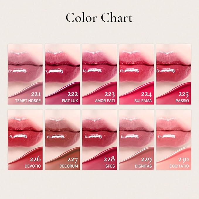 DINTO Blur-Glowy Lip Tint (221 Tēmet Nōsce)