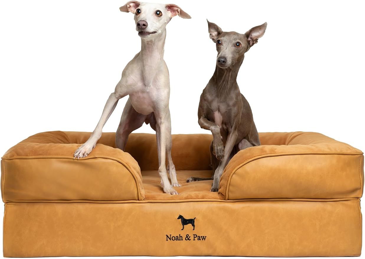 NOAH & PAW Large Dog Bed, 35x25x11 Inch, Orthopedic Dog Beds, Eggshell Memory Foam Infused with Cooling Gel, Inner Cover, Water Resistant, Machine Washable (Faux Leather)