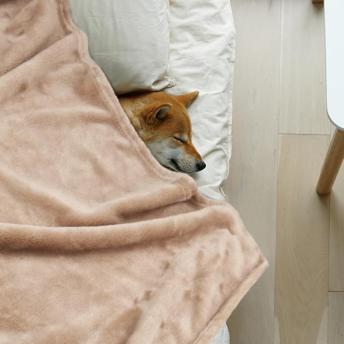 Onarway Dog Blanket Washable for Puppy: 4 Packs Dog Blankets 40”x28” | Fluffy Soft Small Throw for Cat Puppy Kitten Dogs - Fleece Pet Blankets for Bed Sofa Car and Indoor - Grey and Khaki