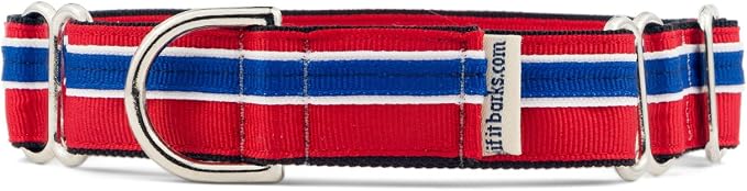 If It Barks 1" Martingale Collar for Dogs, Adjustable Nylon, USA Made, Medium, Patriotic