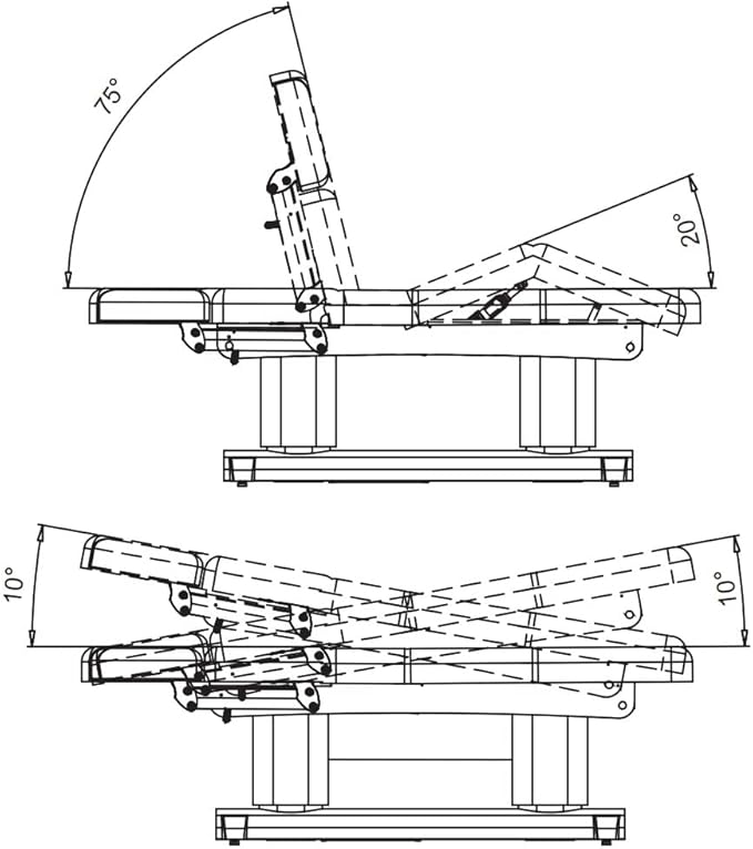 Dir Full Electric Medical Spa Treatment Massage Table Facial Beauty Bed LUXI