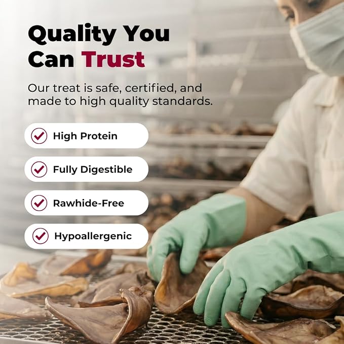 Best Pet Supplies GigaBite Whole Pig Ears for Dogs - 50 Count | Single Ingredient, All Natural, Supports Dental Health, Perfect for Training, Slow Roasted Chews