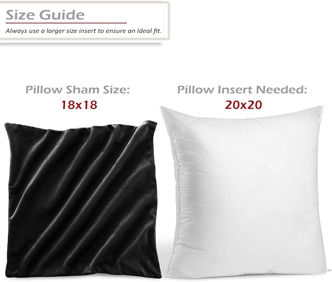 Nestl Throw Pillow Inserts Pack of 2 with Velvet Soft Solid Decorative Square Throw Pillow Covers Set for Sofa Couch Car Bedroom, 20X20 Throw Pillows Inserts with 18x18 Washable Cushion Covers, Black