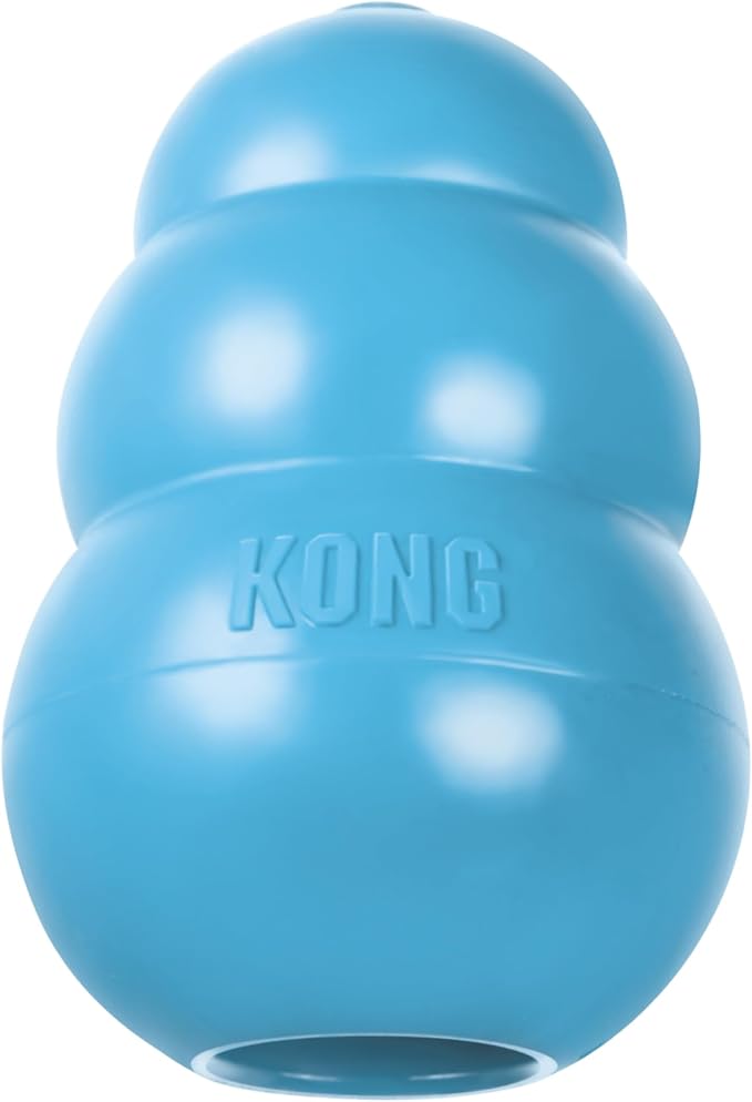 KONG Puppy, Natural Rubber Teething Chew Toy, for Medium Puppies, Blue