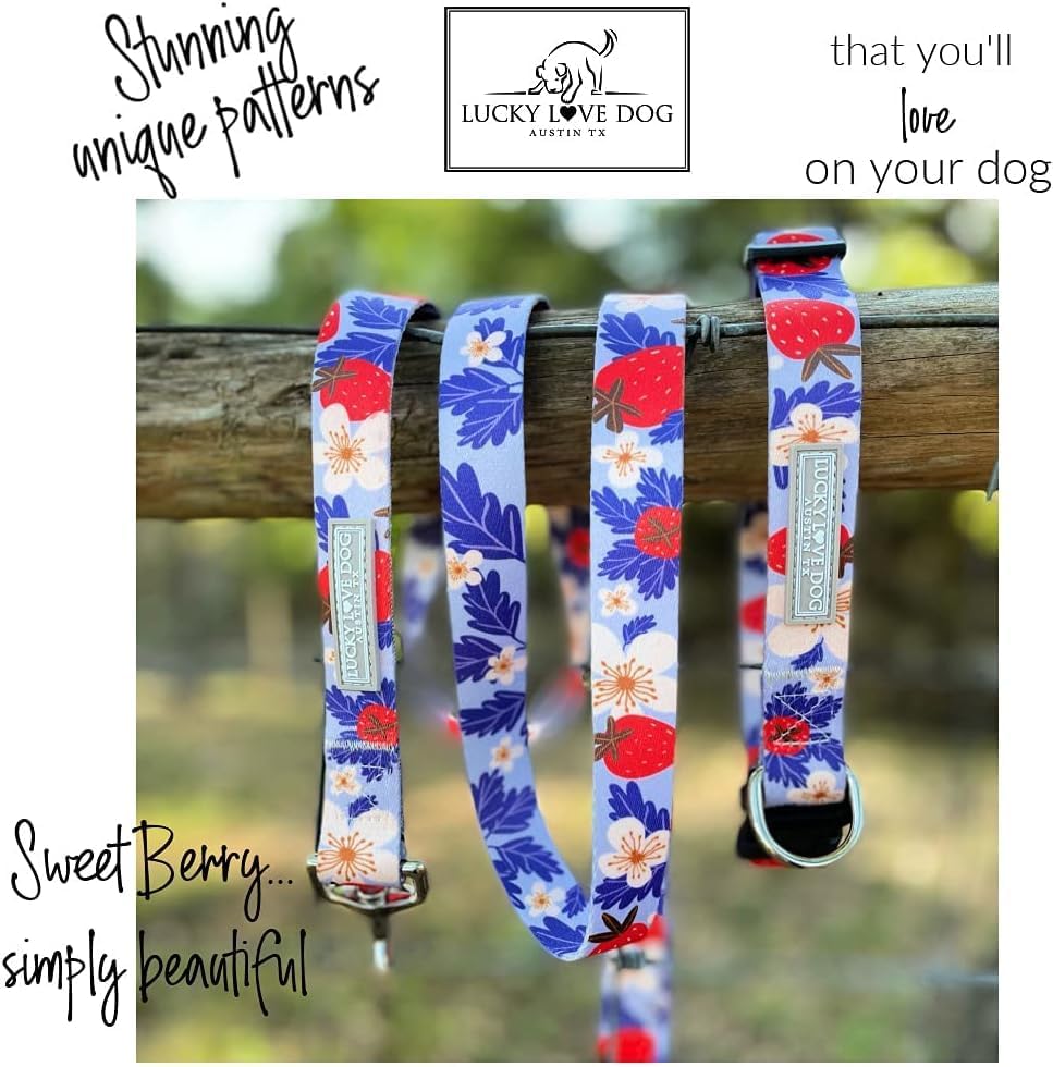 Lucky Love Dog Martingale Collar & Leash Set No Slip – Sweet Berry, Small
