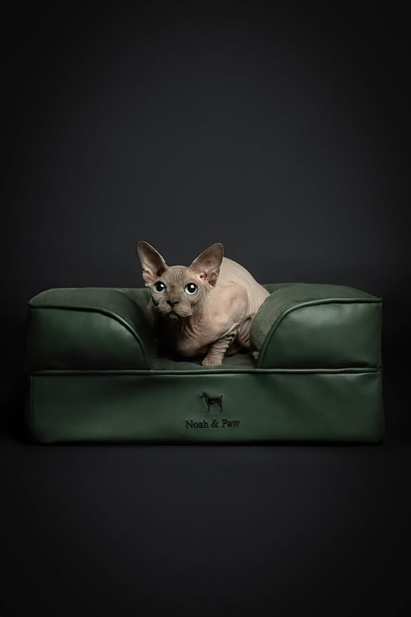 NOAH & PAW Small Dog Bed, 20x15x8 Inch, Cat Bed for Indoor Cats, Orthopedic Eggshell Memory Foam Infused with Cooling Gel, Water Resistant Inner Cover Machine Washable (Faux Leather)