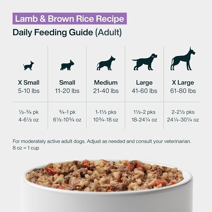 JustFoodForDogs Pantry Fresh Wet Dog Food, Complete Meal or Dog Food Topper, Lamb & Brown Rice Human Grade Dog Food Recipe - 12.5 oz (Pack of 12) | Fresh Pet Meal or Fresh Dog Food Topper, Human Grade Recipe Made With Whole Foods, Preservative-Free, 12...