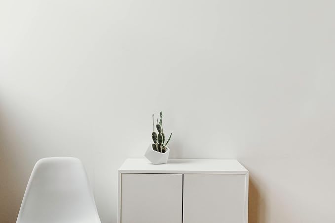 WGV Geometric Ceramic Vase, Width 5", Height 4.3", Matte White Tilted Pot, DIY Folded Planter Bowl for Wedding Event Office Home Decor, 1 Piece