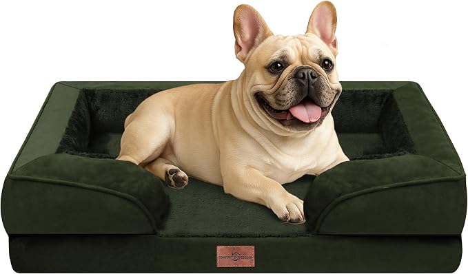 Comfort Expression Waterproof Orthopedic Dog Bed for Medium Size Dog | Supportive Egg Crate Foam Medium Pet Bed with Removable Bolsters, Dog Couch with Washable Cover & Non-Slip Bottom, 30x20 Inch