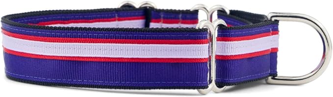 If It Barks 1" Martingale Collar Handmade OC Stripe, Small, Jelly