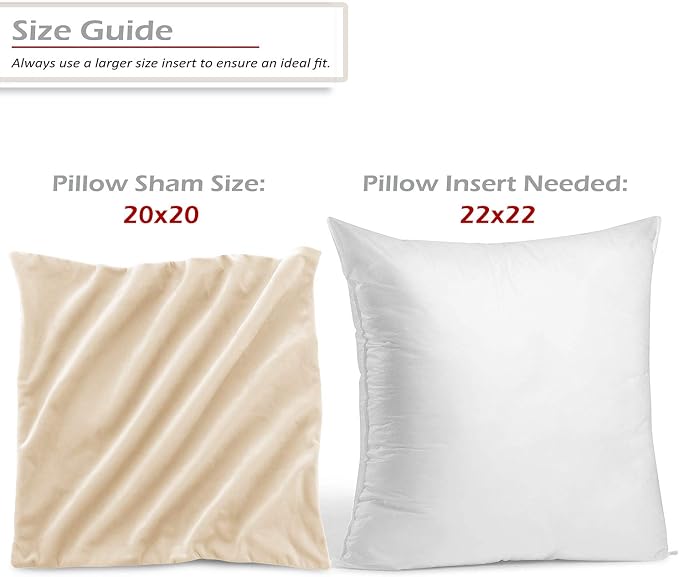 Throw Pillow Inserts Pack of 2 with Velvet Soft Solid Decorative Square Throw Pillow Covers Set for Sofa Couch Car Bedroom, 22X22 Throw Pillows Inserts with 20x20 Washable Cushion Covers, Beige Cream
