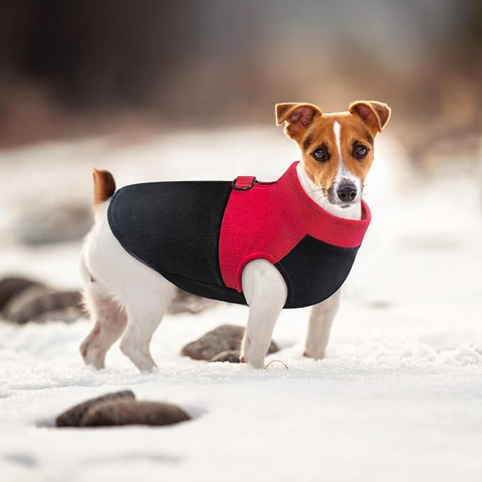 Idepet Dog Fleece Vest Sweater Zip Up Warm Pullover Dogs Jacket with D-Ring Leash Winter Cold Weater Coat Pet Sweatershirt Clothes Hoodie for Small Medium Dogs Boy Girl (Red/Black, M)
