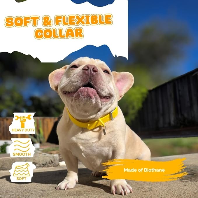 Waterproof Dog Collar, Soft Comfortable Pet Collars, Adjustable Odor Proof Heavy Duty Dog Collars Easy to Clean for Large, Medium Small Dogs by Bee N Buu (Yellow, Small (length8-12, Width 3/4"))