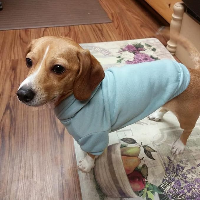 BINGPET Dog Hoodie for Medium Dogs, Soft Pullover Pet Sweater | Warm Dog Sweatshirt Clothes, Winter Hooded Outfit for Girl Boy Dogs Puppy, French Pitbull Cold Weather Coats Wear, Blue M