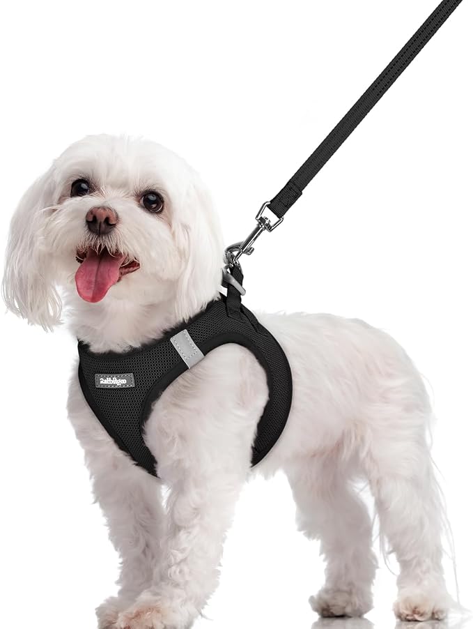 rabbitgoo Dog Harness Small Sized and Leash Set, Step-in Puppy Pet Vest | Light, Soft, Breathable Air Mesh, Easy on and Remove with Hook & Loop, Secure Reflective for Walking, Black M