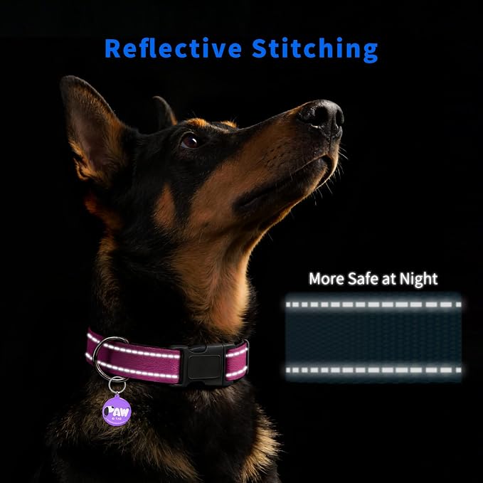 Personalized Dog Collar for Girl Dogs with QR Code Tag, Hot Pink | Reflective Dog Collar with Smart QR ID Tag, Quick Release Buckle, Adjustable and Comfortable Nylon Pet Collar, Medium