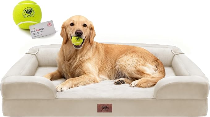 Waterproof Orthopedic Dog Bed for Extra Large Sized Dogs | Memory Foam Pet Bed Sofa with Bolster, Dog Couch with Washable Cover & Non-Slip Bottom, 42x30 Inch, Beige