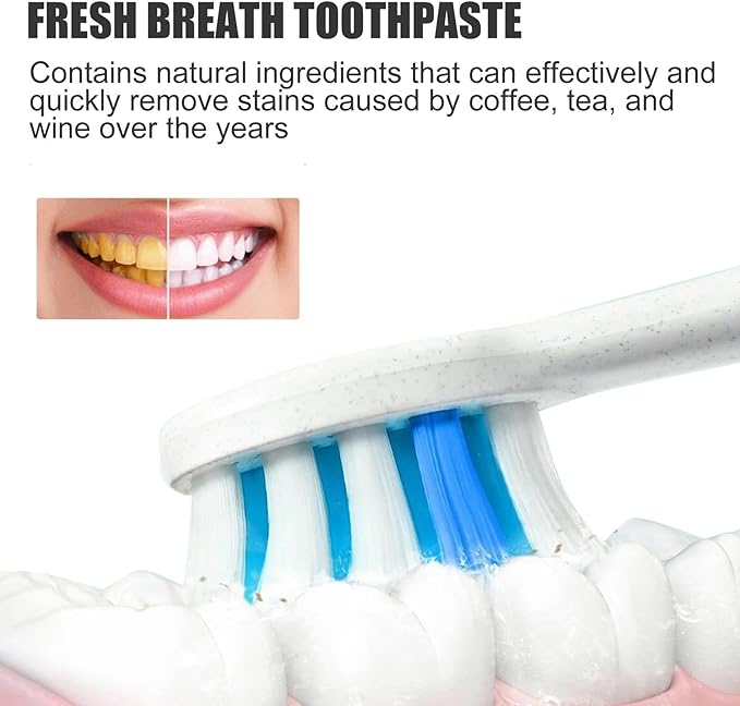Ginaday Sp-6 Ultra Whitening, Sp-6 Probiotic Ultra Whitening Toothpaste Promotes Healthy Teeth Fresh Breath Stain Removing.(1 Pcs)