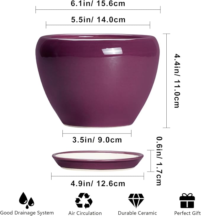 Ceramicfor Ceramic Pots for Plants 6 Inch - Ceramic Plant Pots with Drainage Hole and Saucer, Glaze Round Planter for Succulent Plants, Gifts for Plant Lovers, Garden Home Decor, Purple