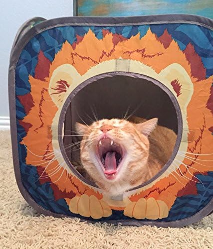 Kitty City Safari Jungle Cat Play Set, Collapsible Pop-Up Cat Toys Combo with Cube, Tunnel & Hideout, Interactive Indoor Kitty Playhouse for Exercise, Hiding & Lounging