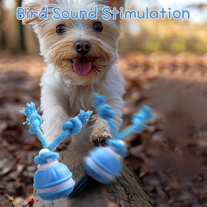Interactive Dogs Toy with Motion Activated - 3 Play Modes Smart Moving Ball for Small Medium Doggy, USB Rechargeable Squeaky Rolling Accessory with Auto-Wake & Mute Option for Indoors Outdoors