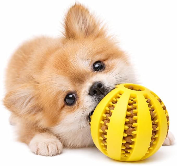 Dog Treat Ball for Small Dogs – Interactive Chew Toy, Teeth Cleaning & Mental Stimulation, Durable Rubber Treat Dispensing Toy