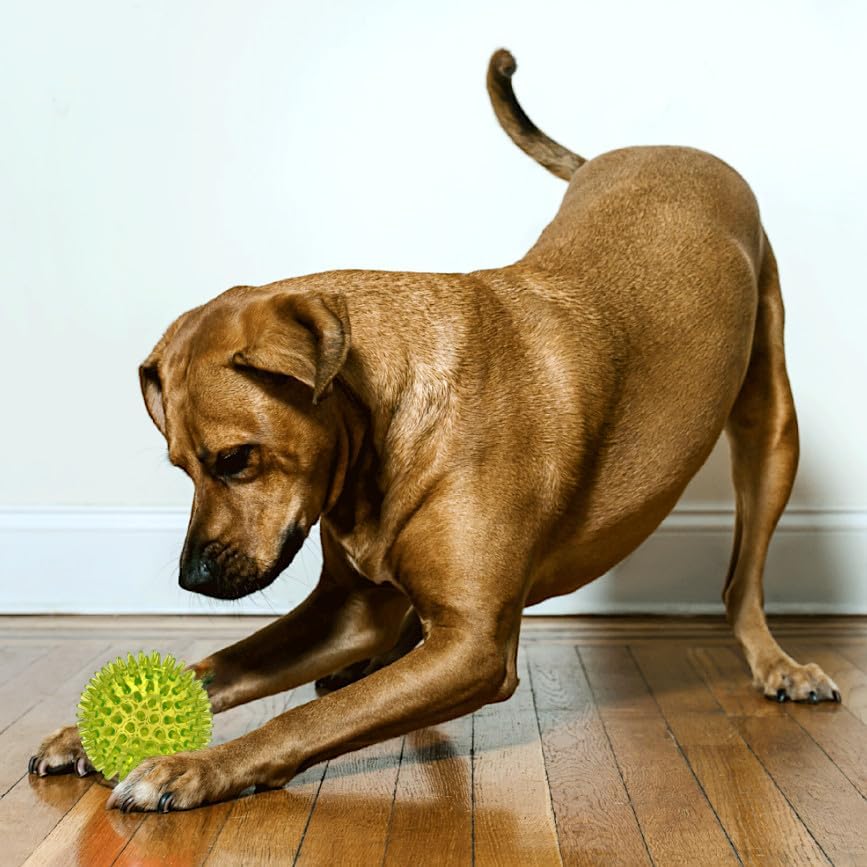 Cutie's PetBox Squeaky Rubber Spike Toy Ball for Medium, Large Dogs (3.5 Inch, Yellow)
