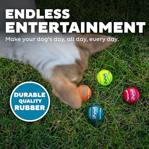 Outward Hound Squeaker Ballz Tennis Ball Dog Toy, X-Small, 1.5", 8-Pack | Squeaks & Bounces, Bright Colors, Interactive Fetch & Training, Indoor Outdoor, Moderate Chewers, Small Dogs (Under 15 lbs)