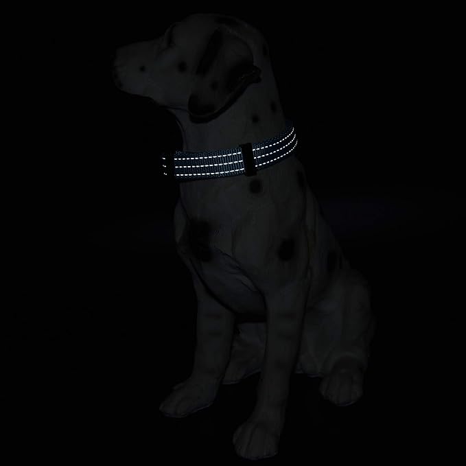 Mile High Life Reflective Dog Collar, Adjustable Lightweight Quick Release