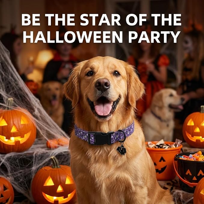 Halloween Dog Collar, Purple Puppy Collar for Small Dogs, S
