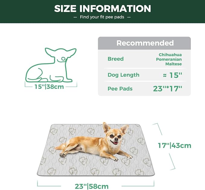 FXW Washable Pee Pads for Dogs, Super Absorbent, 17" x 23", 2 Packs | Machine washable, Non-slip backing
