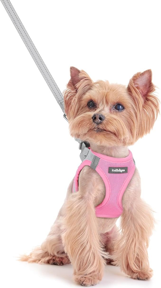 rabbitgoo Dog Harness Small Sized and Leash Set, Step-in Puppy Pet Vest | Light, Soft, Breathable Air Mesh, Easy on and Remove with Hook & Loop, Secure Reflective for Walking, Light Pink & Gray XXS