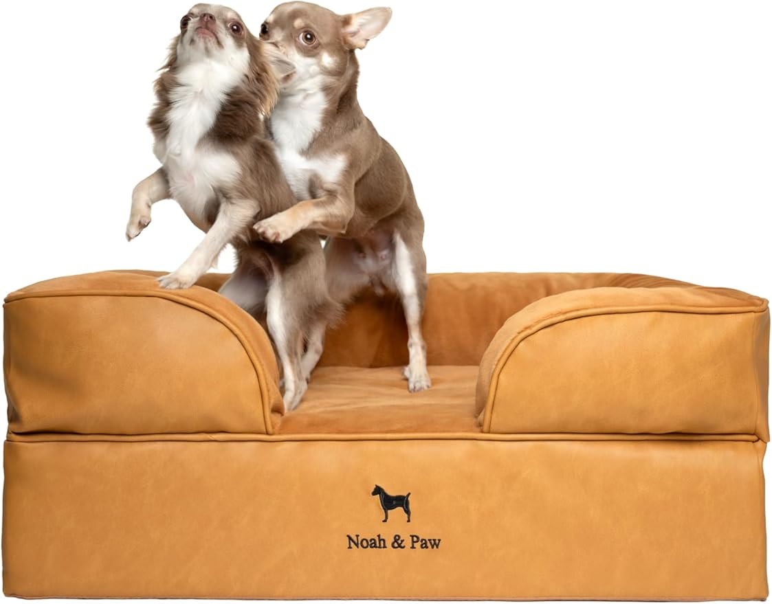 NOAH & PAW Dog Bed, 28x23x11 Inch, Orthopedic Dog Beds for Medium Size Pets, Eggshell Memory Foam Infused with Cooling Gel, Inner Cover, Water Resistant, Machine Washable (Faux Leather)